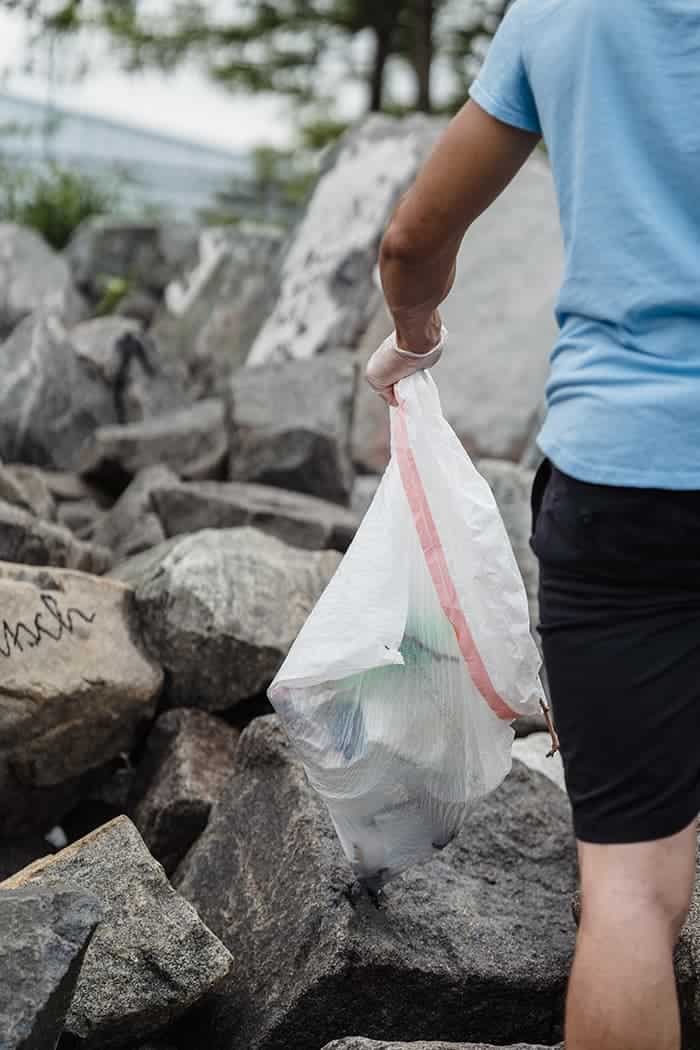 pexels lara jameson 9324321