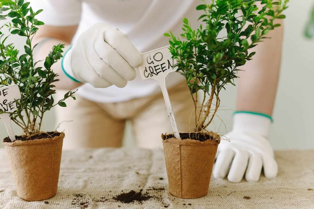 Home pexels thirdman 7656124