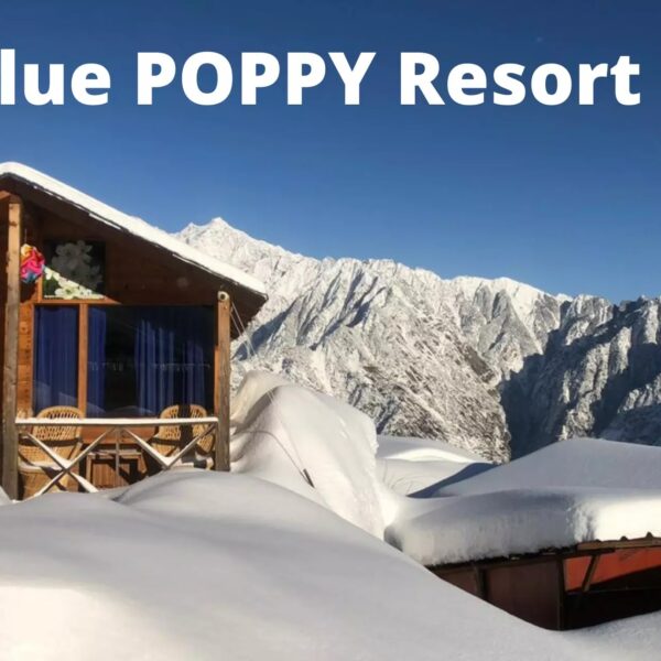 Blue Poppy Resort Auli, Uttarakhand