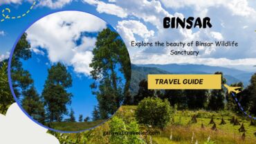 Binsar